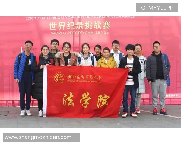 南京羽毛球队的精神风貌与发展历程探讨