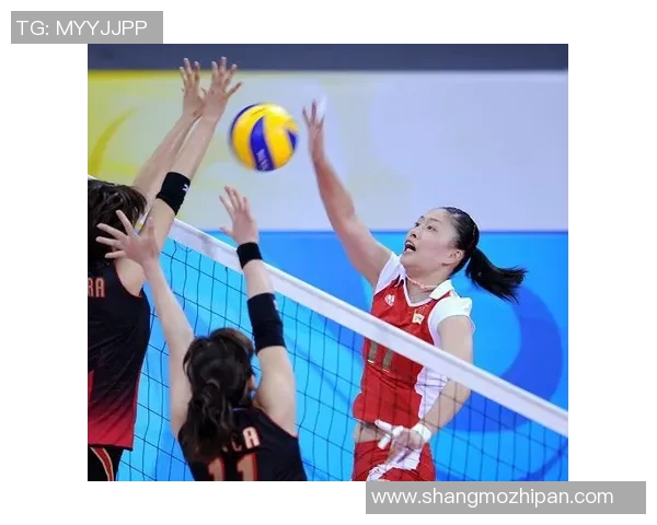 专业解读：成都排球队的运营打法